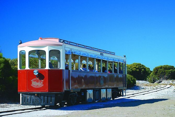 Rottnest Island Grand Tour Including Lunch and Historical Train Ride - Exploring the Itinerary in Detail
