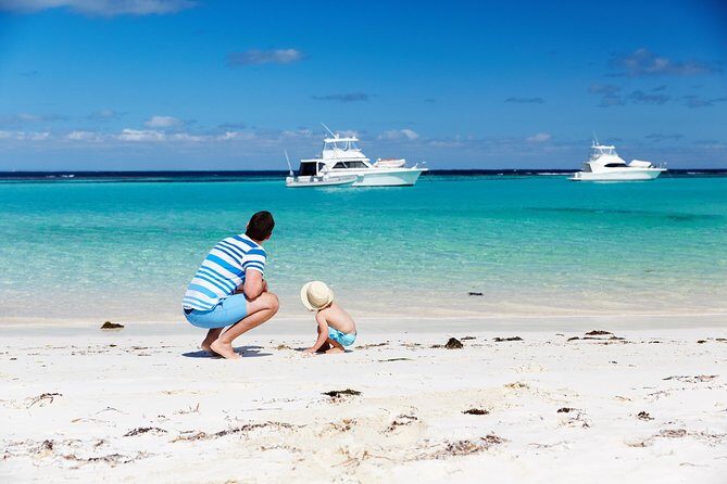 Rottnest Island Grand Tour Including Lunch and Historical Train Ride - The Sum Up