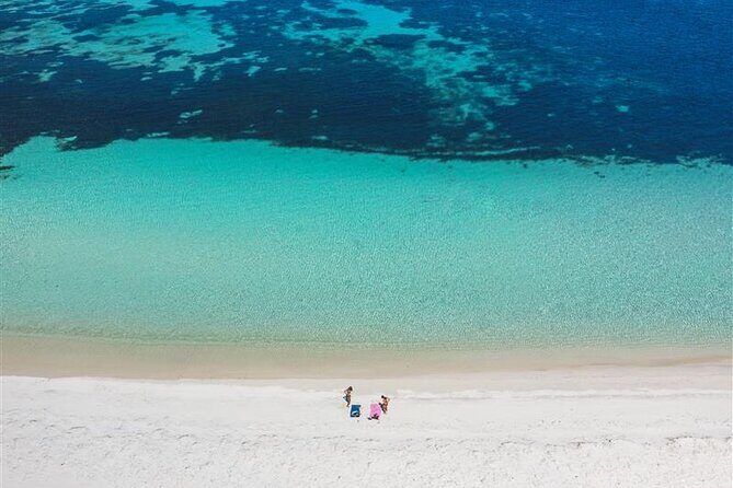 Rottnest Island Round Trip Ferry from Fremantle - The Experience in Detail: What To Expect from the Ferry Trip
