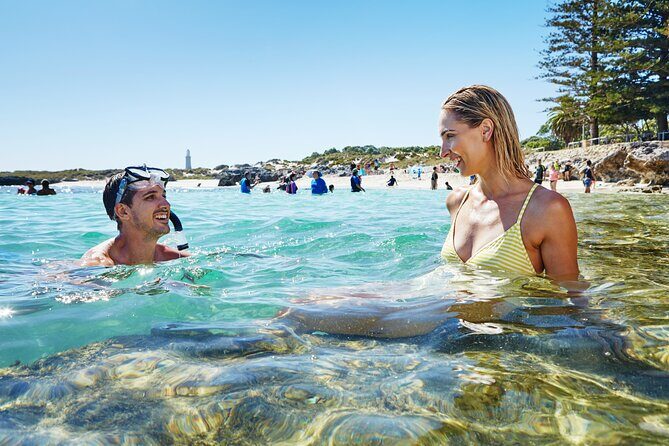 Rottnest Island Roundtrip Fast Ferry from Hillarys Boat Harbour - Key Points