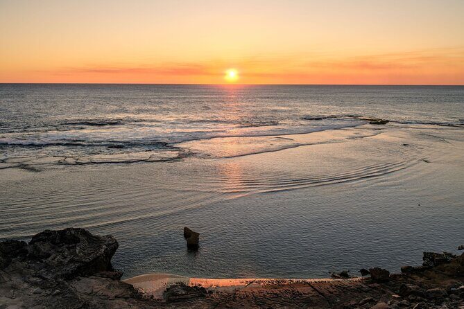 Rottnest Island Seals Sunset and West End Bus Tour - FAQ