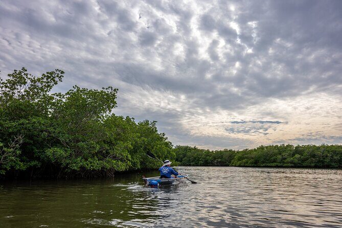 Round Island 2-Hour Glass Bottom Guided Kayak Eco Tour - An In-Depth Look at the Experience