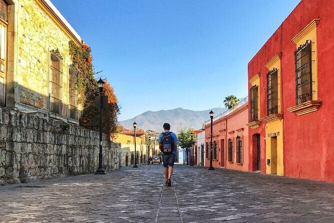 Round private transfer Airport to hotel in Oaxaca - Who Will Benefit Most?