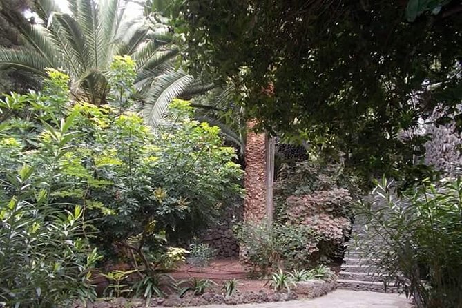 Round The Island Trip Without Teide VIP TOUR - Accessibility and Child Policy