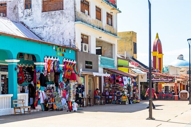 Round Transportation from Cancun to Cozumel Island in One Day - Who Is This Tour Best For?