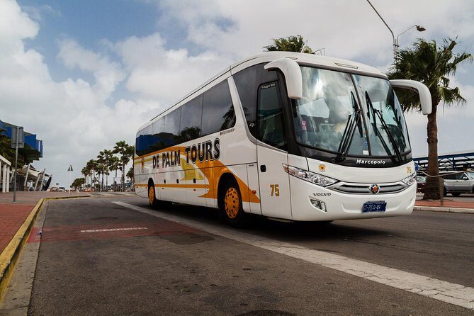 Round Trip Aruba Airport Transfer - Frequently Asked Questions