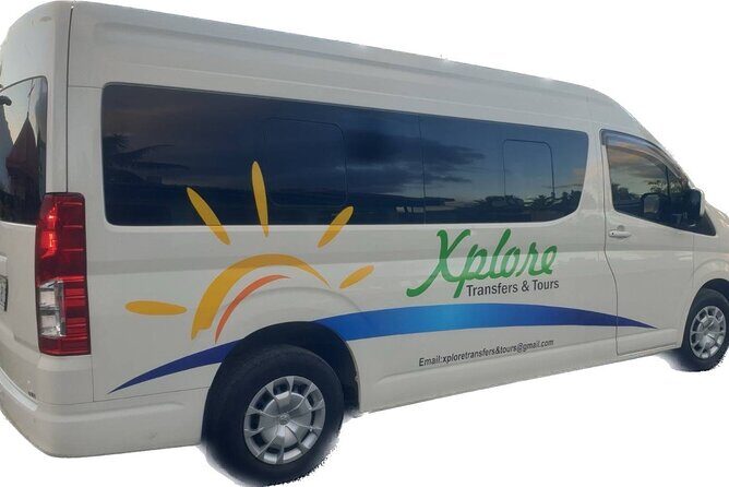 Round-trip Nadi Int Airport - Denarau Hotels (Private Transfer) - An Introduction to the Experience