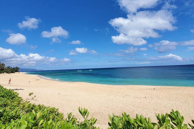 Round Trip North Shore Shuttle From Waikiki to Haleiwa Town / Haleiwa Harbor - Frequently Asked Questions