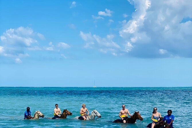 Round Trip Private Transfer from Montego Bay Airport to the City - An Honest Look at the Transfer Service