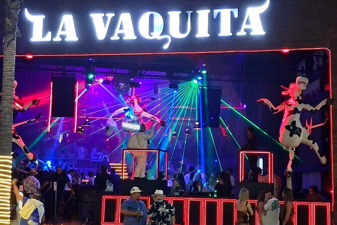 Round Trip Private Trip Los Cabos Airport to Cabo San Lucas - What to Expect from the Private Transfer Service  