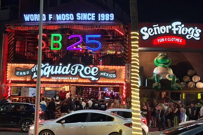 Round Trip Private Trip Los Cabos Airport to Cabo San Lucas - Who Should Book This Service?  