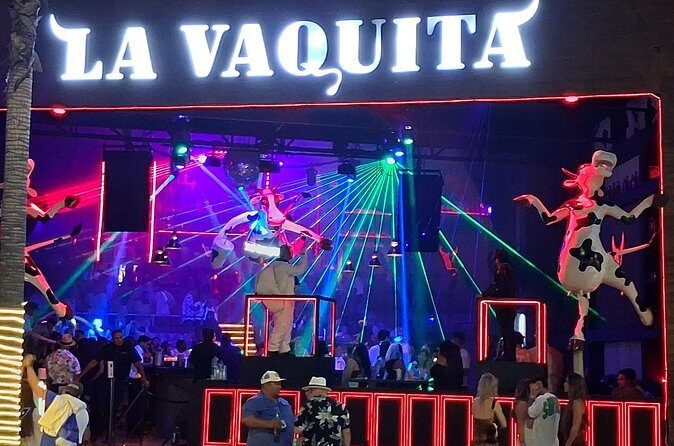 Round Trip Private Trip Los Cabos Airport to Cabo San Lucas - Who Should Consider This Service?