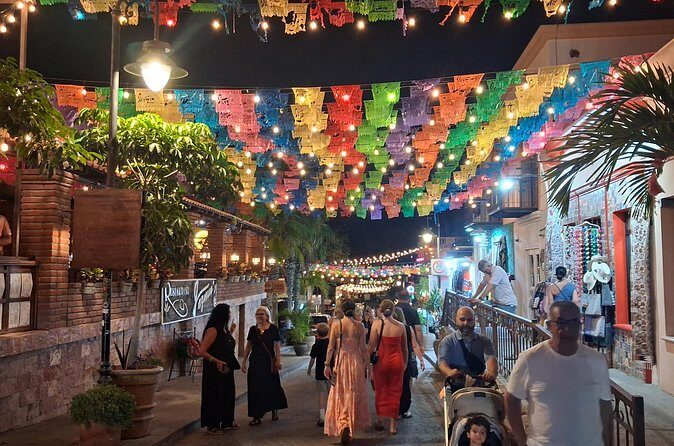 Round Trip Private Trip Los Cabos-San Jose Cabo Airport - Final Thoughts