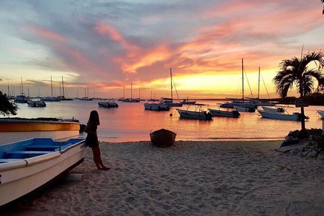 Round Trip Punta Cana Airport Shuttle - An In-Depth Look at the Punta Cana Airport Shuttle Experience