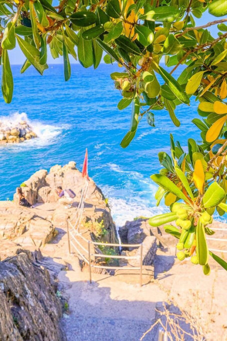 Round Trip Transfer to Cinque Terre From Florence - Frequently Asked Questions