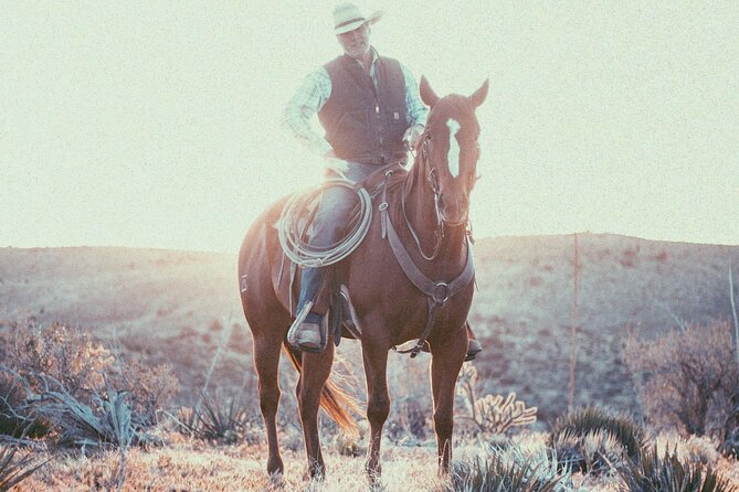 Round-Up Ride: Horseback Ride JUST 5 MILES From Grand Canyon West - Positive Traveler Experiences