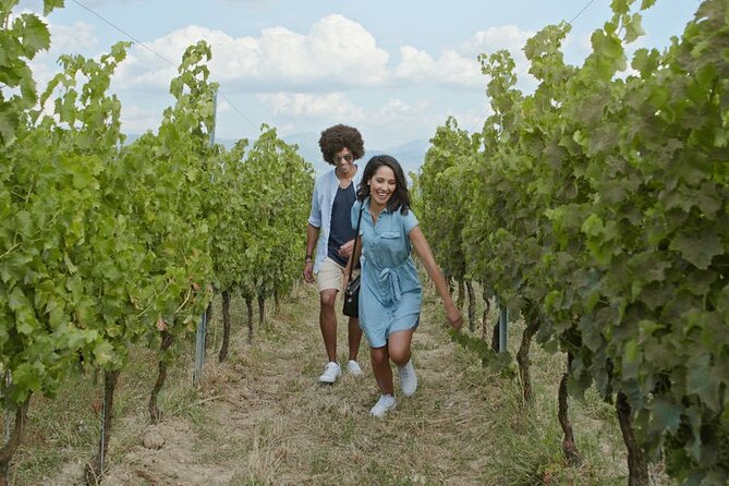 Roundtrip Airport Transportation With Wine Tour Package - Accessibility and Participation