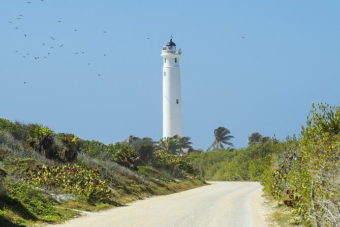Route of Adventure: Punta Sur Park and Clear Boat Cozumel - Who Should Consider This Tour?