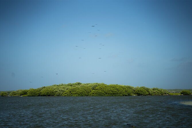 Route of Adventure: Punta Sur Park and Clear Boat Cozumel - Final Words