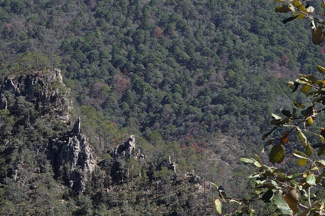 Route to the Peñas Cuatas Science Forest and Adventure - Key Points