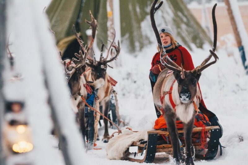 Rovaniemi: Apukka Reindeer Sleigh Ride at Night - Key Points