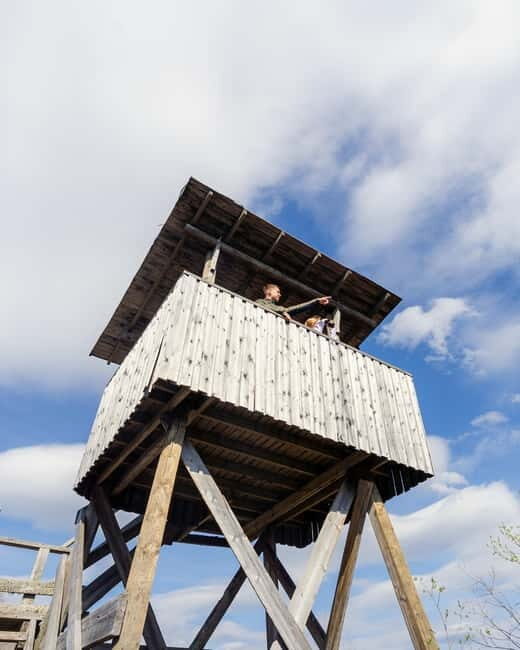 Rovaniemi: Arctic Birdwatching Tour - FAQs
