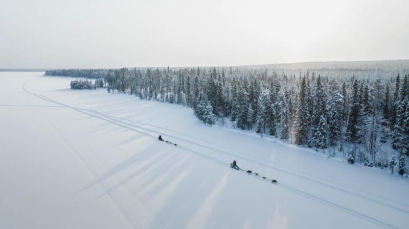 Rovaniemi: Arctic Circle Long Trail Husky Adventure - Final Thoughts: Is It Worth It?