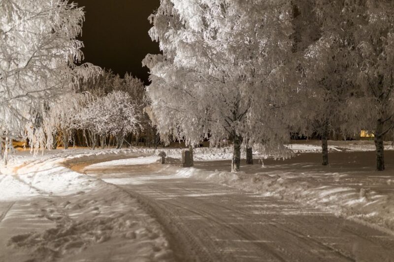Rovaniemi: Arctic Ice Karting Tour - Booking Information