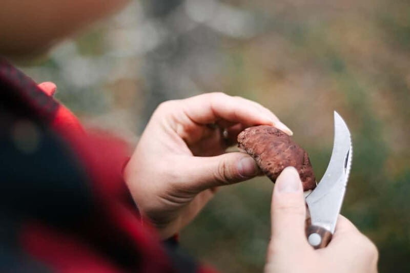 Rovaniemi: Arctic Wild Berry & Mushroom Foraging and Tasting - Final Thoughts