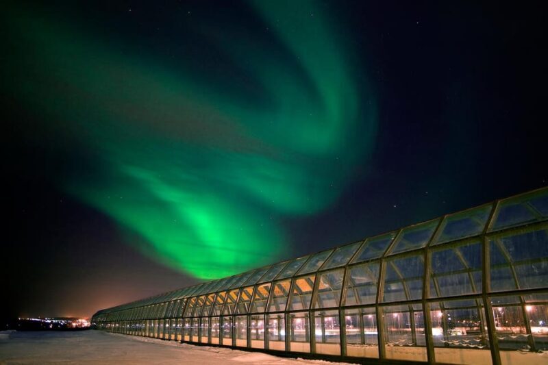 Rovaniemi: Arktikum Science Centre and Museum Entry Ticket - FAQ