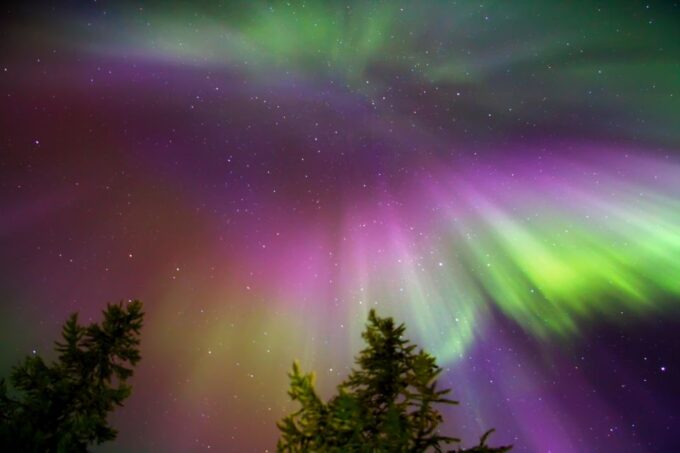 Rovaniemi: Aurora Borealis Snowmobile Safari With Campfire - Pricing and Cancellation Policy