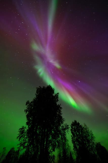Rovaniemi: Aurora Hunt with Money-Back Guarantee and Photo - Practical Details and Tips