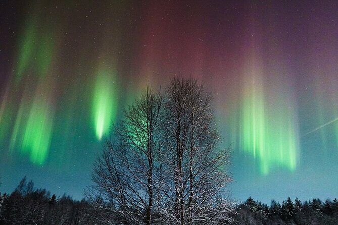 Rovaniemi: Aurora Hunt with Photograph & money back guarantee - Key Points