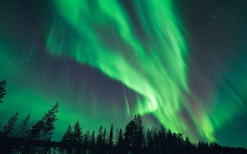 Rovaniemi: Aurora Hunt with Photos and Money Back Guarantee - What This Tour Offers