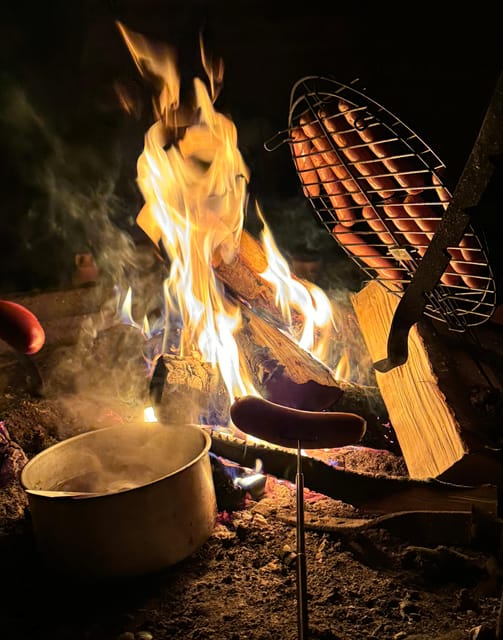 Rovaniemi: Aurora hunting and a fireside BBQ experience - Why This Tour Works Well
