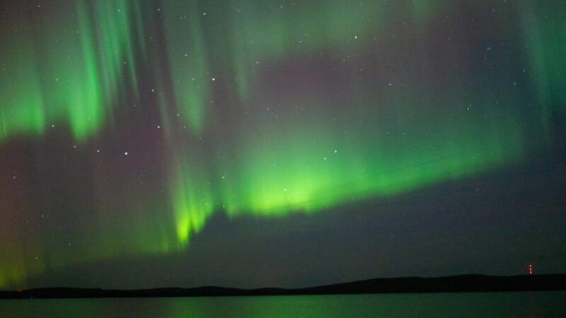 Rovaniemi: Aurora hunting and a fireside BBQ experience - FAQ