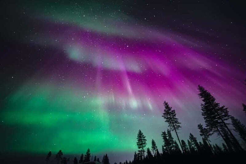 Rovaniemi: Aurora Hunting Group Tour - Guaranteed View - Key Points