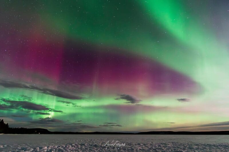 Rovaniemi: Aurora Hunting & Photography Tour - How the Experience Feels