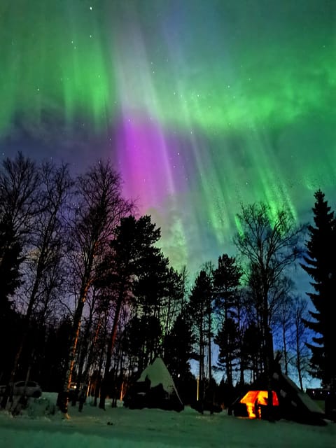 Rovaniemi: Aurora Hunting & Photography Tour - Who Should Consider This Tour?
