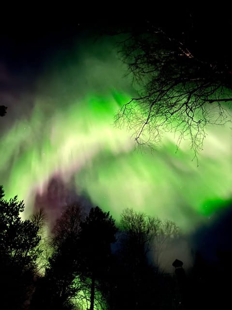 Rovaniemi: Aurora Hunting & Photography Tour - Final Thoughts