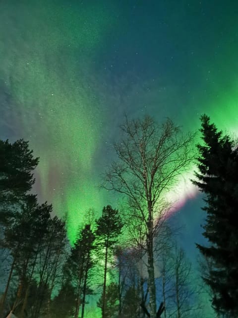 Rovaniemi: Aurora Hunting & Photography Tour - FAQ