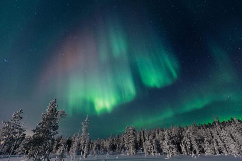 Rovaniemi: Aurora Hunting Tour in the Forest with Hot Drinks - Who Should Consider This Tour?