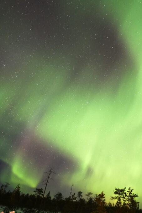 Rovaniemi: Aurora Hunting Tour - Tips for a Successful Hunt