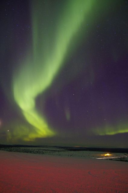 Rovaniemi: Aurora Hunting Tour with Photography by Van - The Itinerary and What You Can Expect
