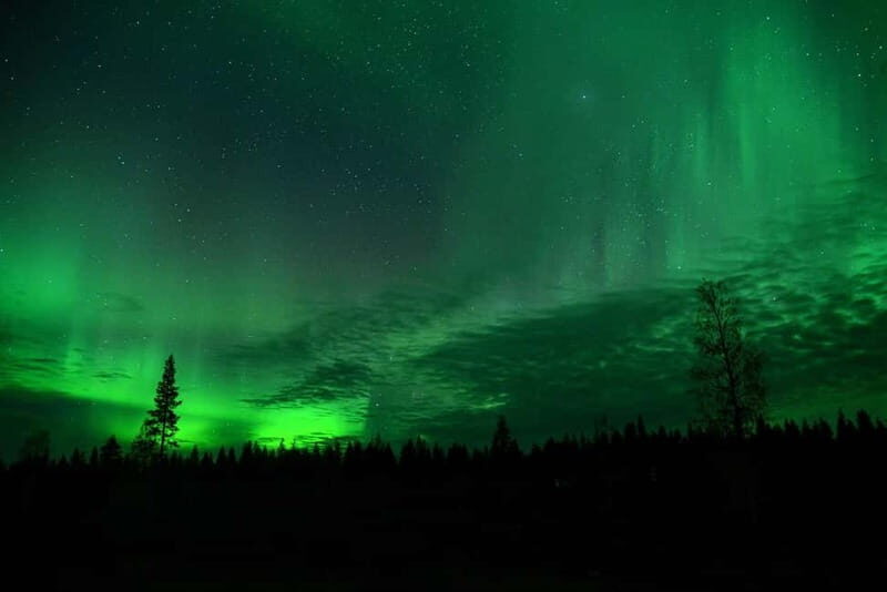 Rovaniemi: Aurora Train to Wilderness Camp - Key Points