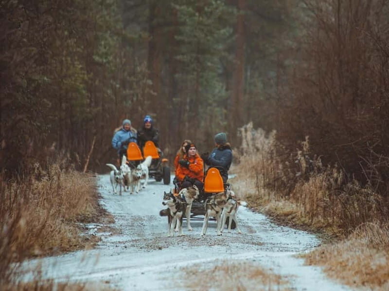 Rovaniemi: Autumn Husky Ride on Wheels - Who Should Consider This Tour?