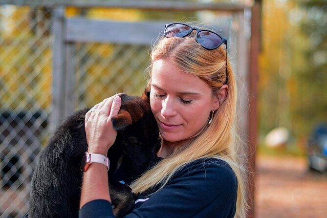 Rovaniemi Autumn Husky Safari & BBQ  610 km SelfDrive - Practical Tips for Travelers