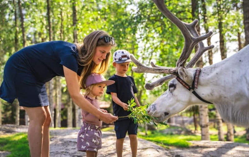Rovaniemi: Autumn Reindeer Farm Visit - Key Points