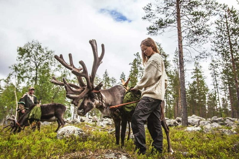 Rovaniemi: Autumn Reindeer Farm Visit - Detailed Breakdown of the Experience