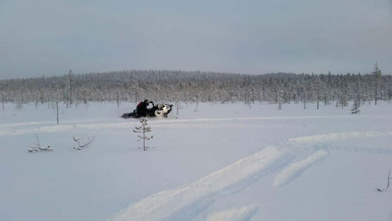 Rovaniemi: Backwoods Adventure Full Day Snowmobile Safari - Introduction to the Rovaniemi Snowmobile Safari  
